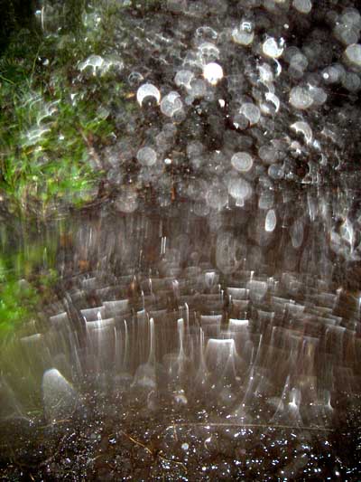 富士山須走口 下山道　雨